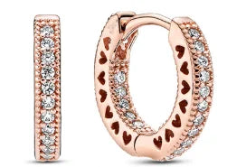 Elodie earrings